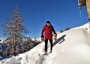 31 Per sedersi nella neve due bei tronchetti d'abete!